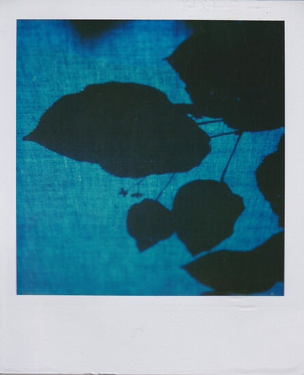 Marion Dubier-Clark, ‘Blue shadow’, 2007-2010