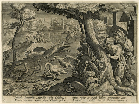 Jan Galle after Jan van der Straet, ‘Cranes Catching Snakes’