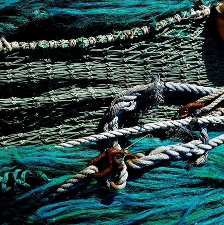 Kat O'Neill, ‘Ropes’, 2017