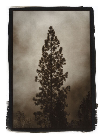 Kerik Kouklis, ‘Lone Tree near Placerville, CA 2021’, 2021