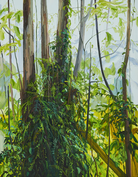 Claire Sherman, ‘Trees and Ferns ’, 2019