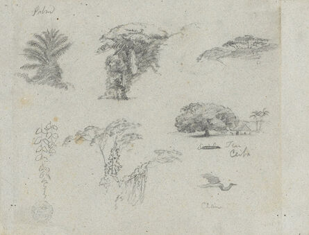Frederic Edwin Church, ‘Sketches from South America.  Botanical sketches.   Flying crane.’, 1853