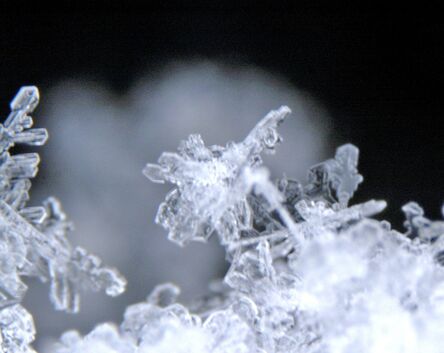 Yutaka Sone, ‘Micro Snowflake Photograph from Yutaka Snow Studio’, 2005