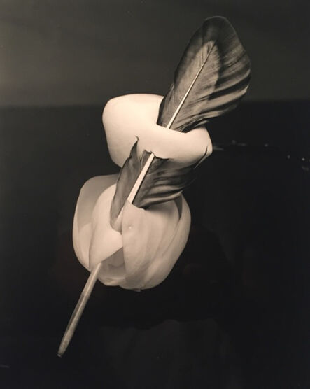 Robert Langham III, ‘Feathered Magnolia’, 2018