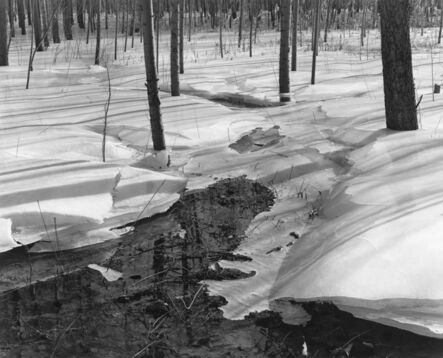 付 羽, ‘林中融冰 Melting Ice in Forest’, 2013