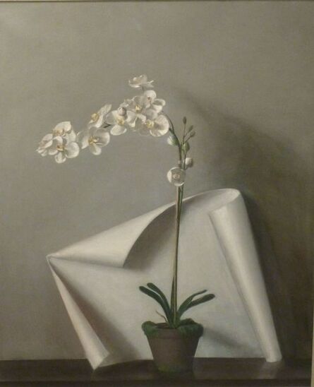 Raymond Han, ‘Phalaenopsis with Cloth’, Undated