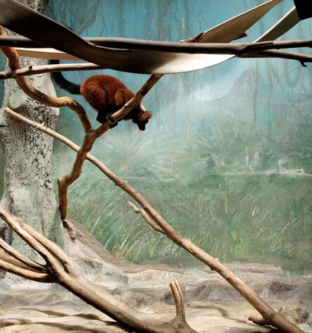 Eric Pillot, ‘Lemur and Painted Landscape’, 2012