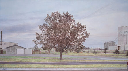 Jack Hoyer, ‘Montana Parking Lot Tree’, 2013