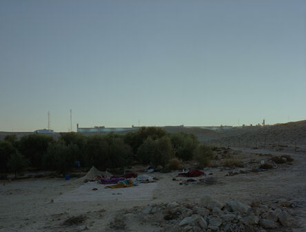 Jeff Wall, ‘Daybreak (on an olive farm/Negev Desert/Israel)’, 2011