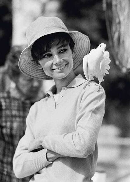 Terry O'Neill, ‘Audrey Hepburn Dove’, 1966