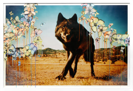 Michael Muller, ‘Stray From The Pack’, 2013