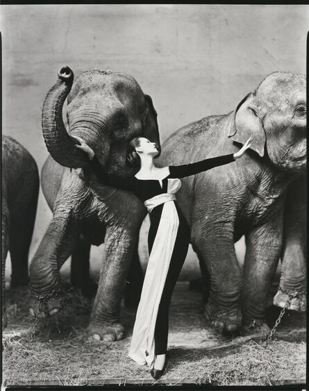 Richard Avedon, ‘Dovima with Elephants, Evening Dress by Christian Dior, Cirque d’Hiver, Paris’, 1955