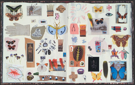 Jane Hammond, ‘Scrapbook’, 2003