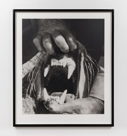 John Baldessari, ‘Hands & Feet: Hands, Tiger & Teeth’, 2017