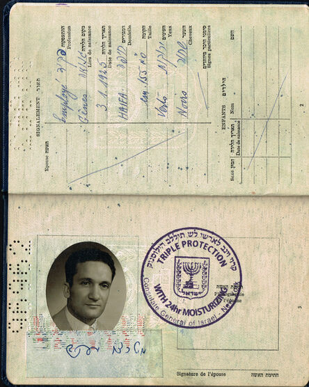 Soheila Sokhanvari, ‘Israeli Passport’, 2010