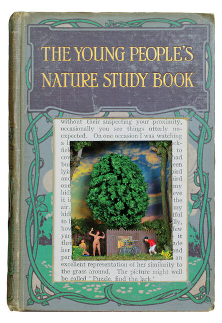 Laura Beaumont, ‘The Young People's Nature Study Book Guide’, 2017