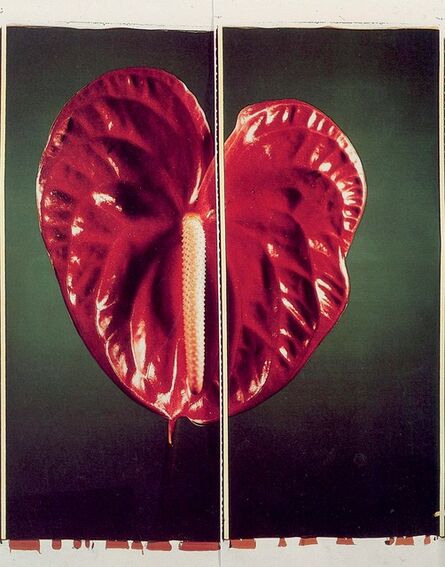 Chuck Close, ‘Anthurium’, 1987