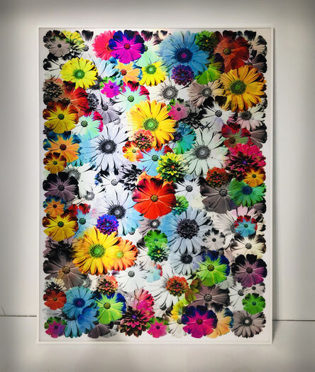 bruce jefferies reinfeld, ‘Disco Daisies   - color to black and white’, 2019