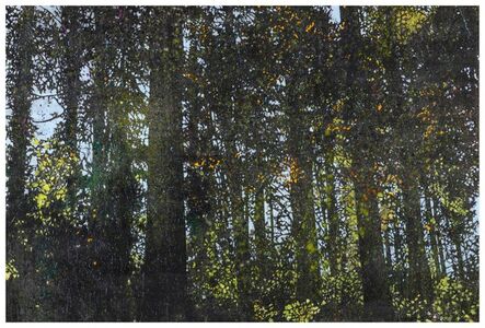 Una Ursprung, ‘Lights in the Forest-2’, 2016