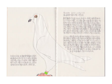 Lee Lichung, ‘Pigeon- TAIWAN 2020335615’, 2020