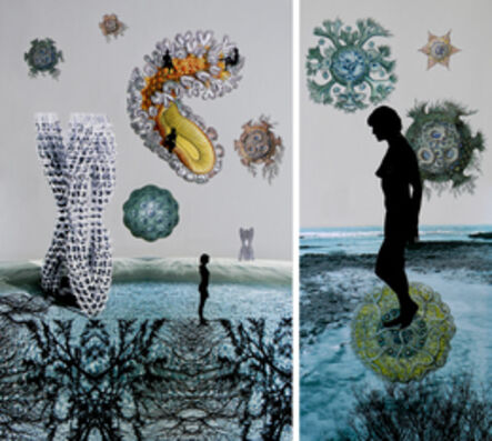 Sonia Mehra Chawla, ‘Transitory Shores & Biomorphic II’, 2013