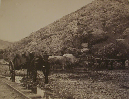 Roger Fenton, ‘Cattle Carts, Leaving Balaklava’, 1856