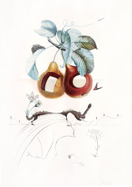 Salvador Dalí, ‘Les Fruits  troues’, 1960