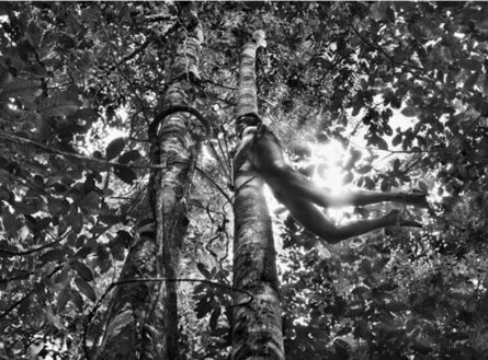 Sebastião Salgado, ‘Kurupáj Zo’é chasse le singe. Territoire indigène Zo’é. État de Pará, Brésil, 2009’, 2021