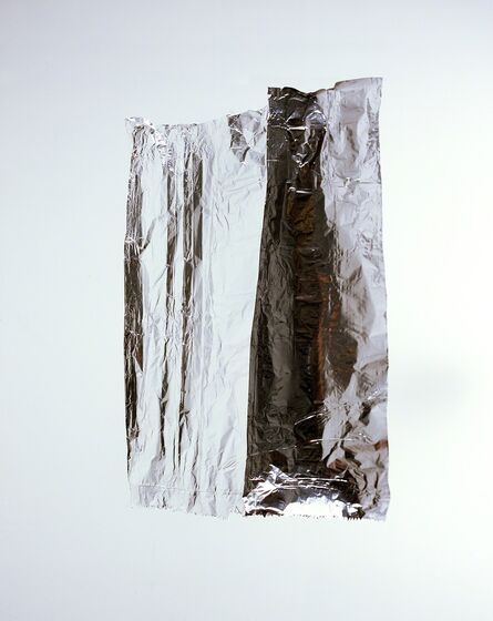 Jaime Alvarez, ‘Foil 002’, 2008