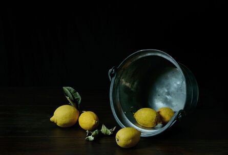 Nicolas Wilmouth, ‘Citrons’, 2012