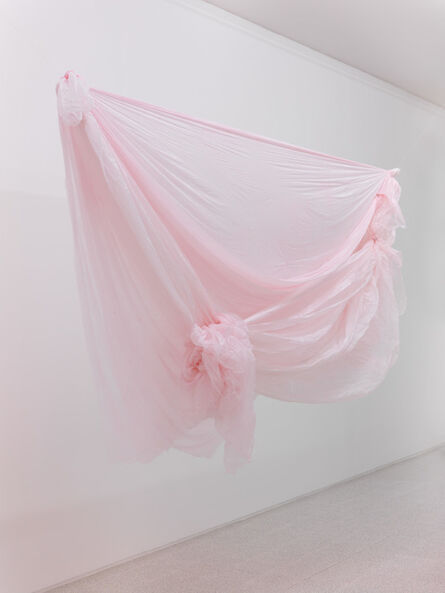 Karla Black, ‘What to Ask Of Others’, 2011