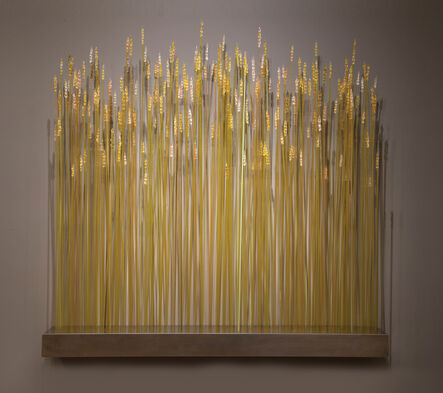 JP Canlis, ‘Wheat’, 2009