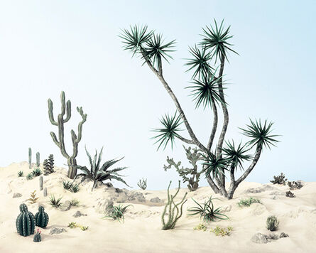 Didier Massard, ‘Cactus Mussard’, 2014