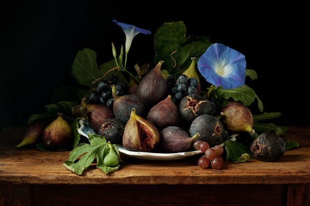 Paulette Tavormina, ‘Figs and Morning Glories, after G.G.’, 2010