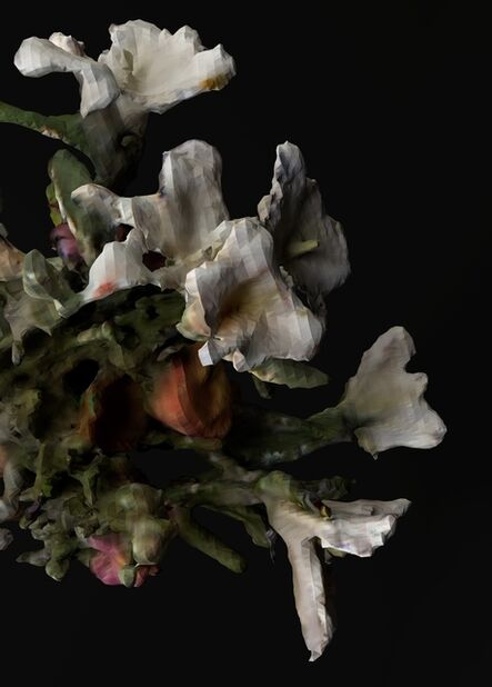 Rhonda Holberton, ‘Lilium Candidum, Rosa ‘Madame A. Meilland’, Alstroemeria (Night  I)’, 2018