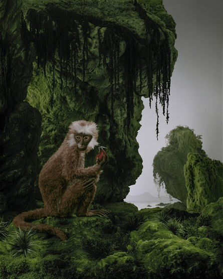 Didier Massard, ‘Monkey’, 2011