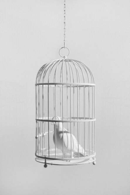Dorota & Steve Coy, ‘Caged Bird’, 2020
