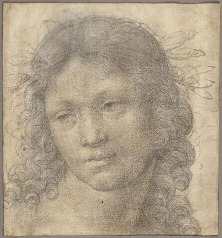 Lorenzo di Credi, ‘he Head of a Young Boy Crowned with Laurel’, 1500-1505