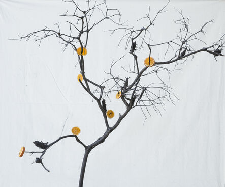 Itamar Freed, ‘Orange Tree’, 2019