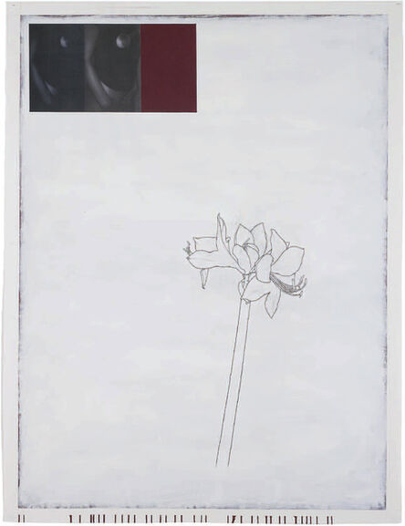 Julião Sarmento, ‘“Woman, Plant, Bordeaux and White”’, 2008-2009