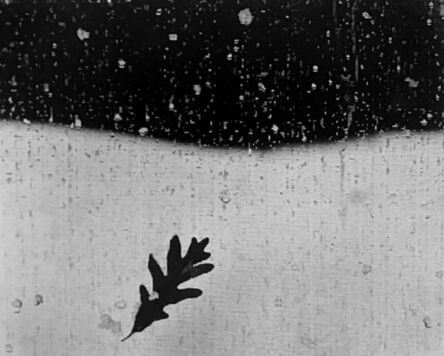 Paul Caponigro, ‘Leaf on Wet Screen, Ipswich, MA’, 1961