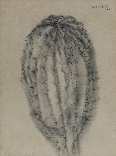 Akbar Padamsee, ‘Cactus’, 1982