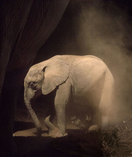 Nick Brandt, ‘Elephant Baby Statue ’, 2018