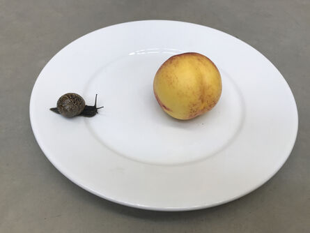 Juergen Teller, ‘Leg, snails and peaches’, 2107