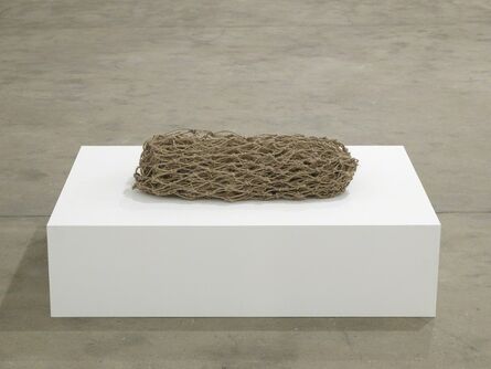 Mariana Castillo Deball, ‘Vogel’s Net’, 2013