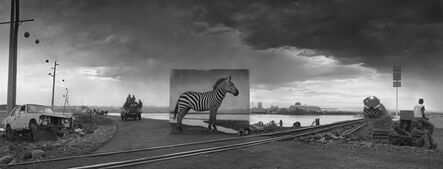 Nick Brandt, ‘Road to Factory with Zebra’, 2014