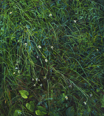 Claire Sherman, ‘Wildflowers and Grass’, 2020