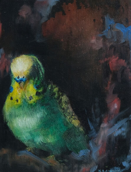 Katrine Claassens, ‘ Easy Care for Your Budgie’, 2019