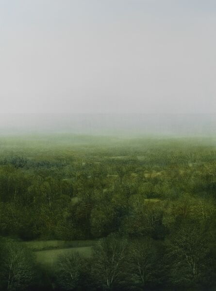 Peter Brooke, ‘Celestial Forest’, 2015