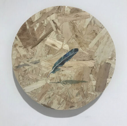 Alastair Gordon, ‘Feather, Levitating’, 2019